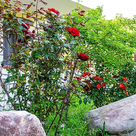 וילה Keli Mansion סיקיה