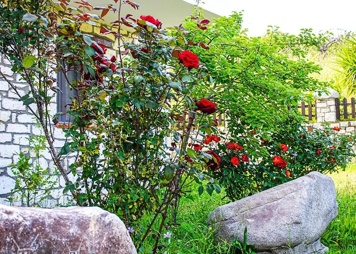 Villa Keli Mansion Sykia Chalkidikis